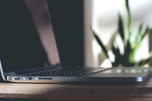 Leveraging Blogroll Indonesia for Better Search Rankings